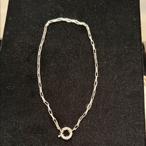 Elegant Sainless SteelChain Necklace